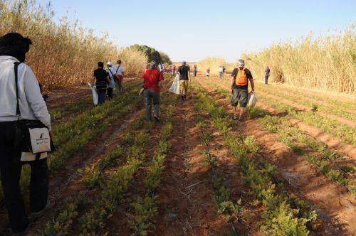 SAHARA MARATHON  2011